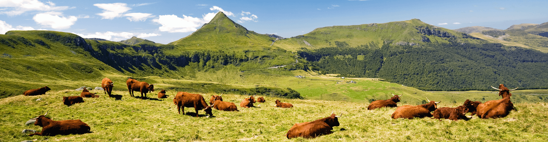 Natuur in de regio Auvergne, midden Frankrijk