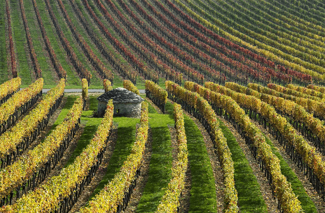 Eten en drinken in Bourgogne: wijnroute