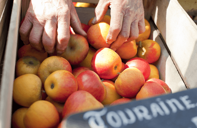 Streekproducten op de markt in midden Frankrijk