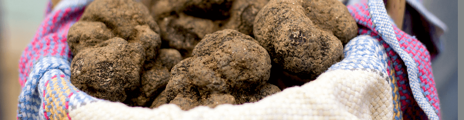 Gastronomie Midi Pyreneeën: Truffelmarkt in Lalbenque (Lot)