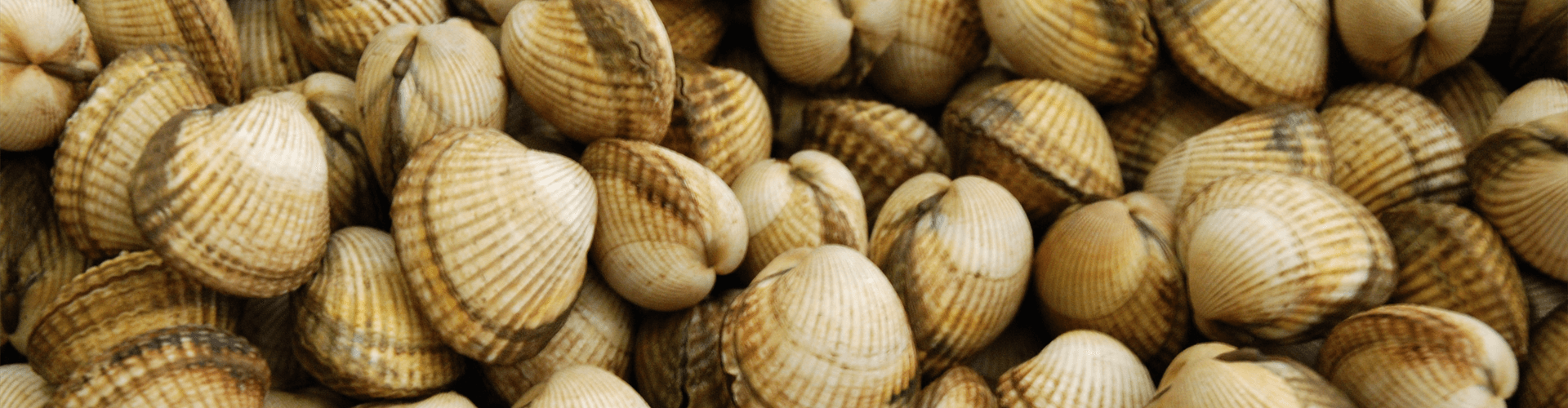 Eten en drinken in Pays de la Loire, Vendee: kokkels